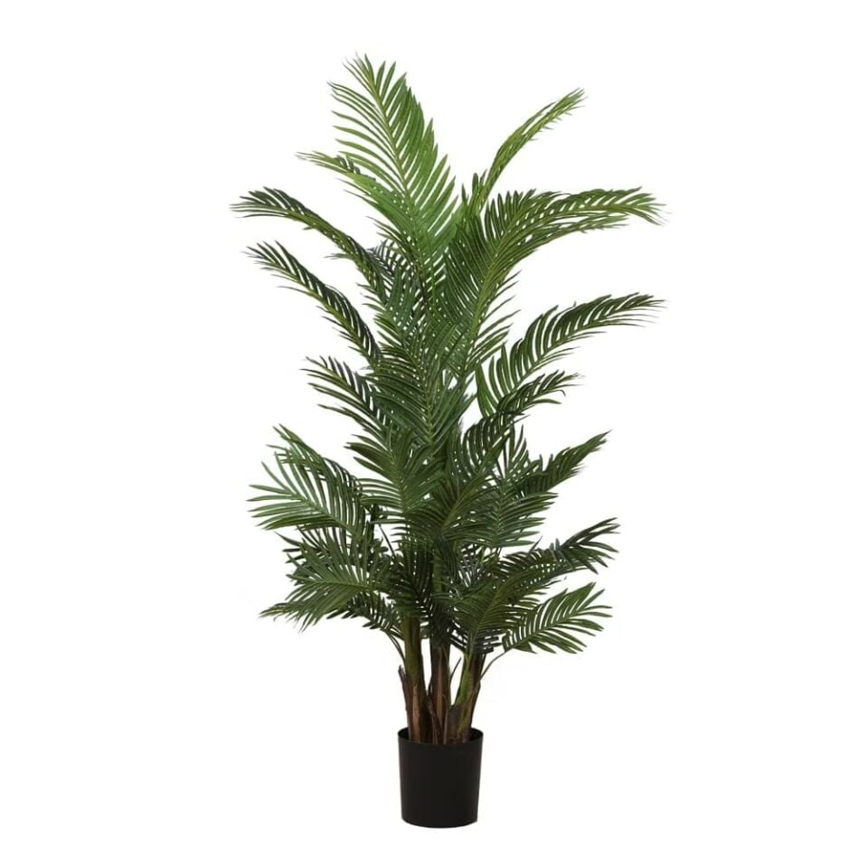 Yapay Kentia Palm
